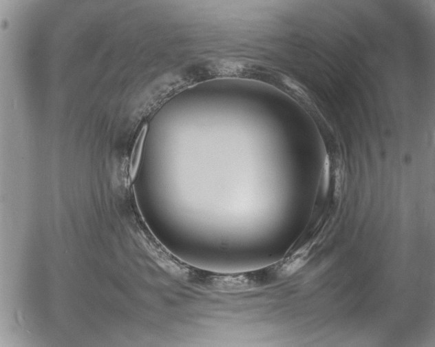 X0000054410525200508011325