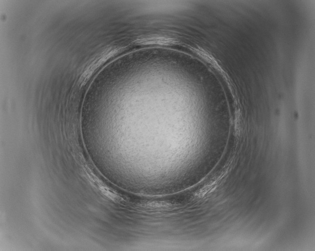X0000054410529200508011324