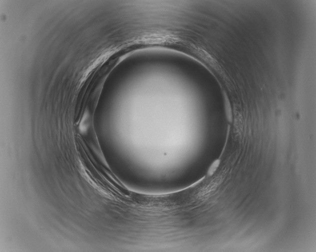 X0000054410530200508011324