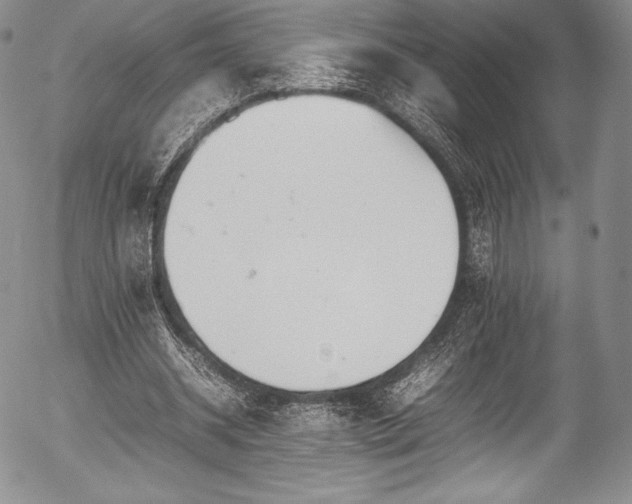 X0000054410534200508011324