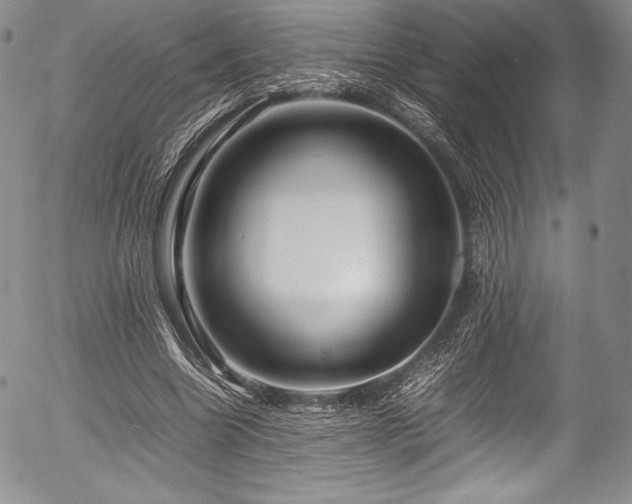 X0000054410538200508011324
