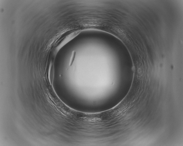 X0000054410539200508011324