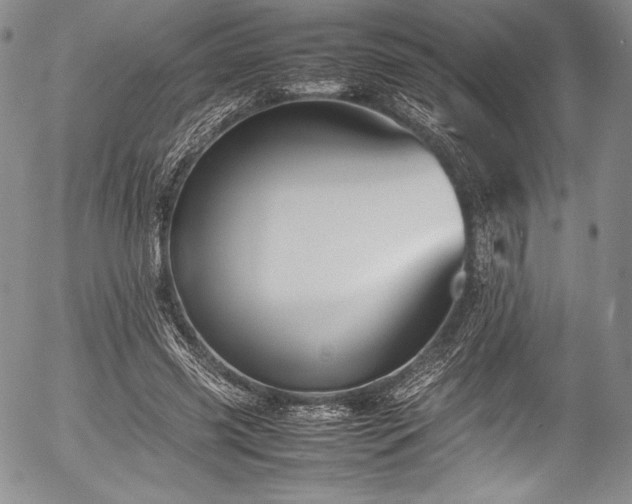 X0000054410541200508011324