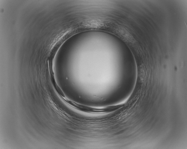 X0000054410544200508011325