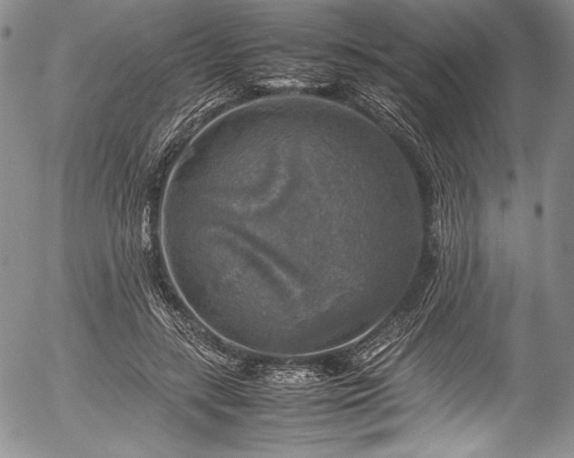 X0000054410547200508011325