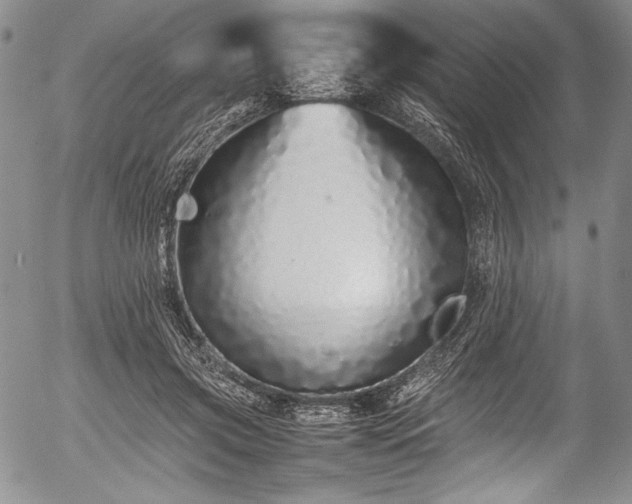 X0000054410549200508011325