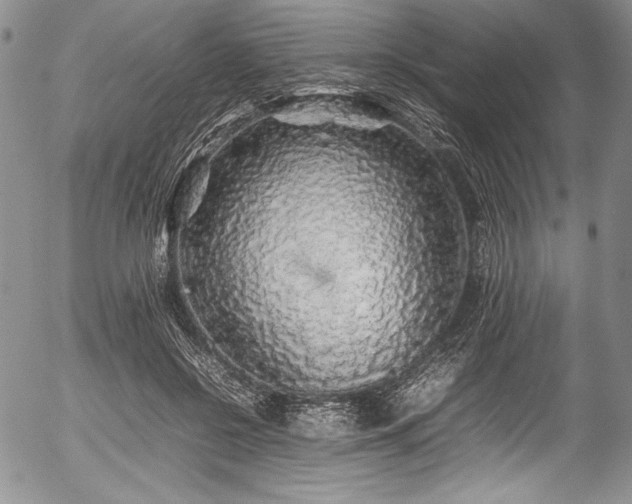 X0000054410550200508011325