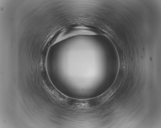 X0000054410552200508011325