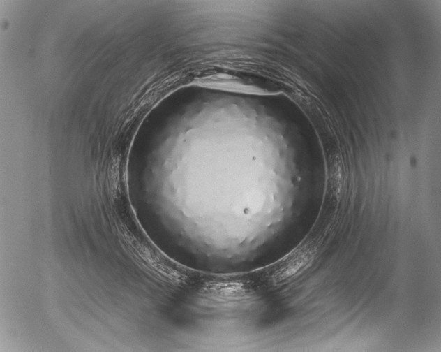 X0000054410554200508011325
