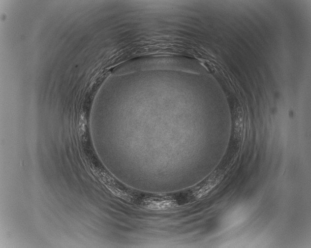 X0000054410555200508011325