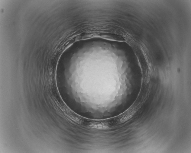 X0000054410557200508011325