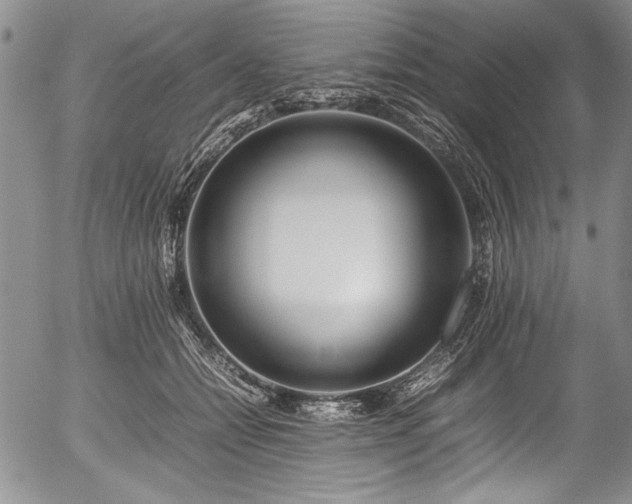 X0000054410558200508011325