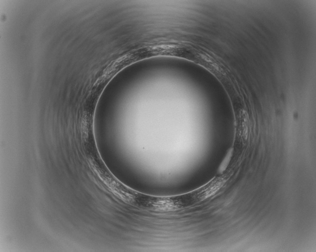 X0000054410562200508011325