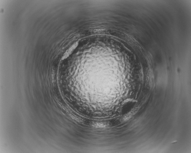 X0000054410565200508011325
