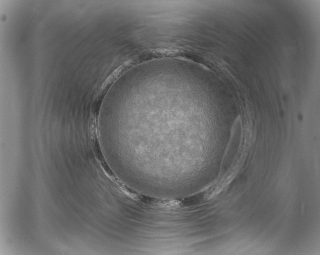 X0000054410576200508011325