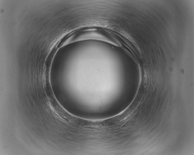 X0000054410580200508011324