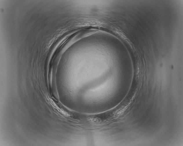 X0000054410585200508011324