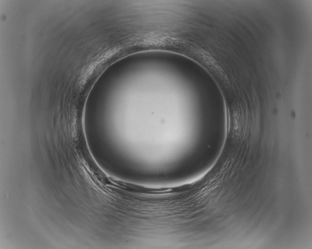X0000054410588200508011324