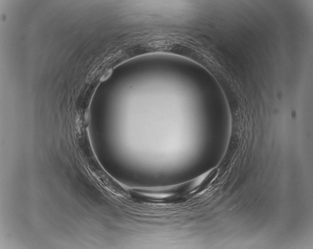 X0000054410597200508011324