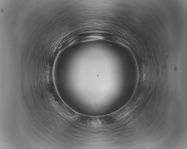 X0000054410600200508011324