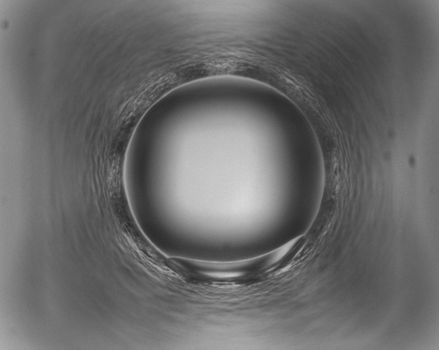 X0000054410601200508011324