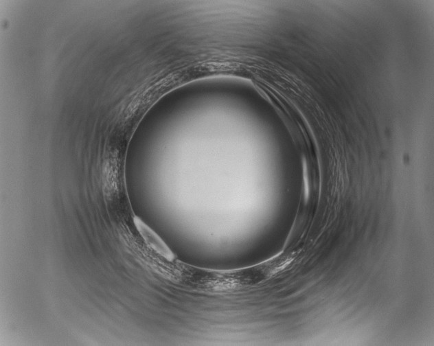 X0000054410604200508011324