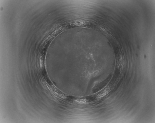 X0000054410606200508011324