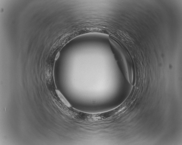 X0000054410607200508011324