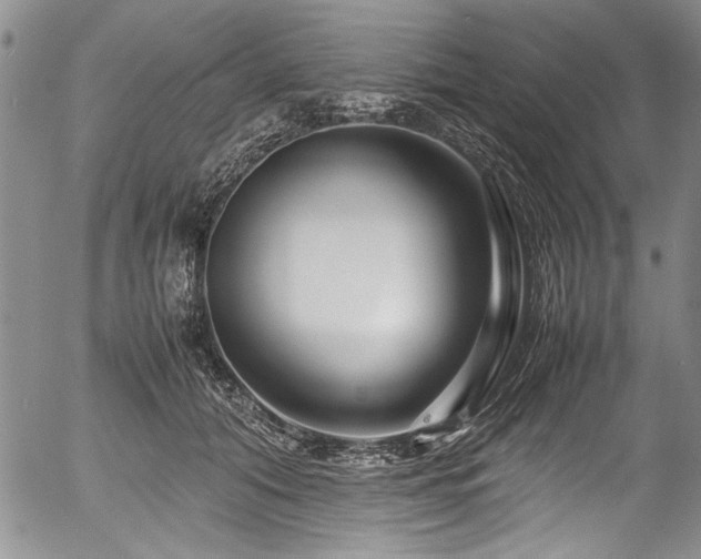 X0000054410608200508011324