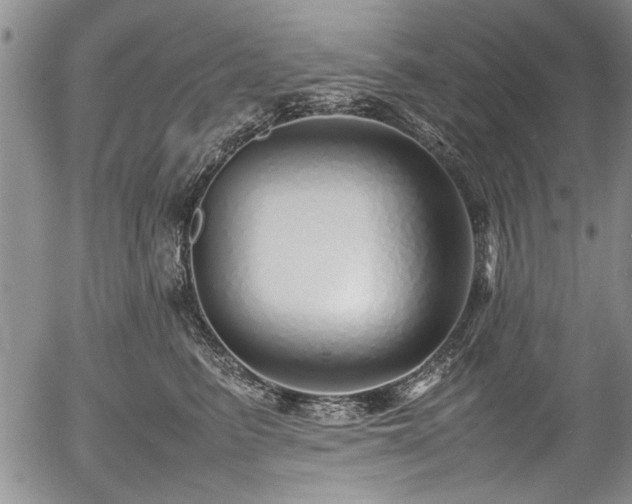 X0000054410615200508011324