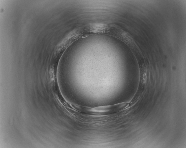 X0000054410620200508011324