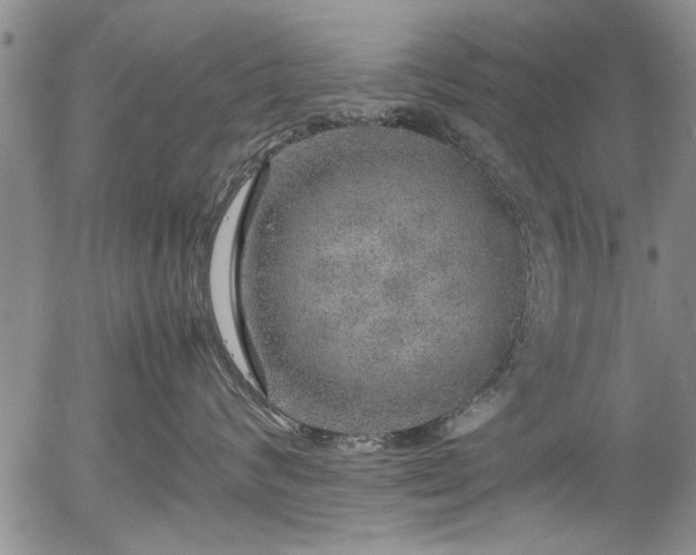 X0000054410624200508011323