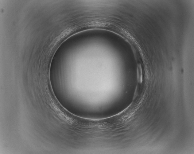 X0000054410625200508011323