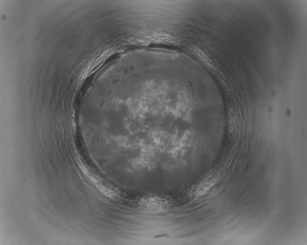 X0000054410634200508011323