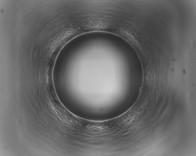X0000054410635200508011323