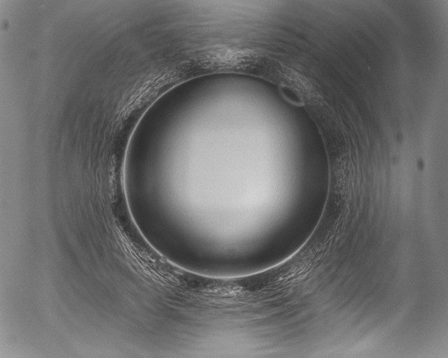 X0000054410642200508011323