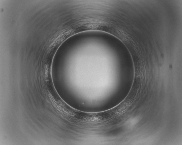 X0000054410646200508011323