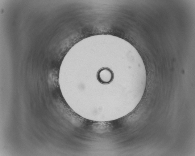X0000054410672200508011323