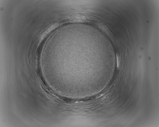 X0000054410675200508011323