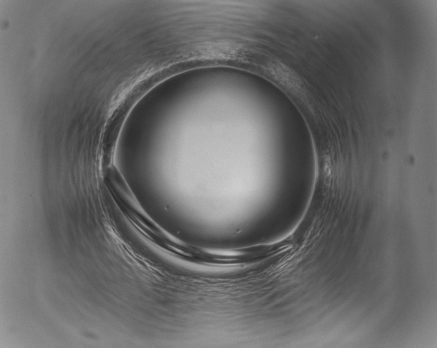 X0000054410676200508011323