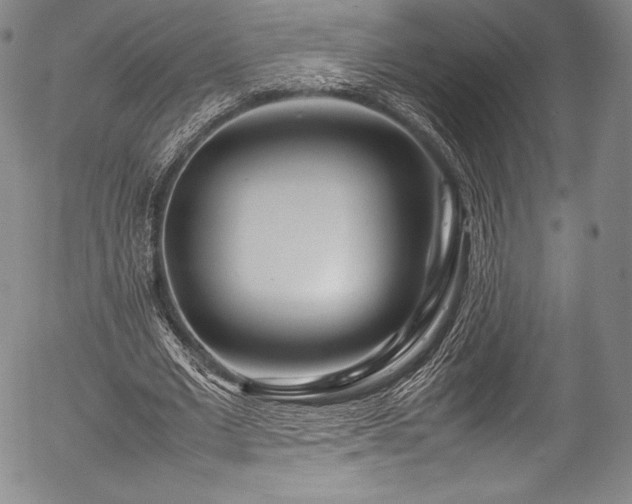 X0000054410677200508011323