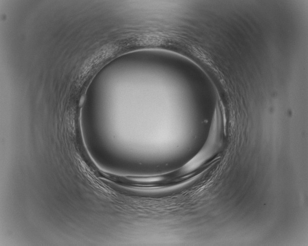 X0000054410681200508011322