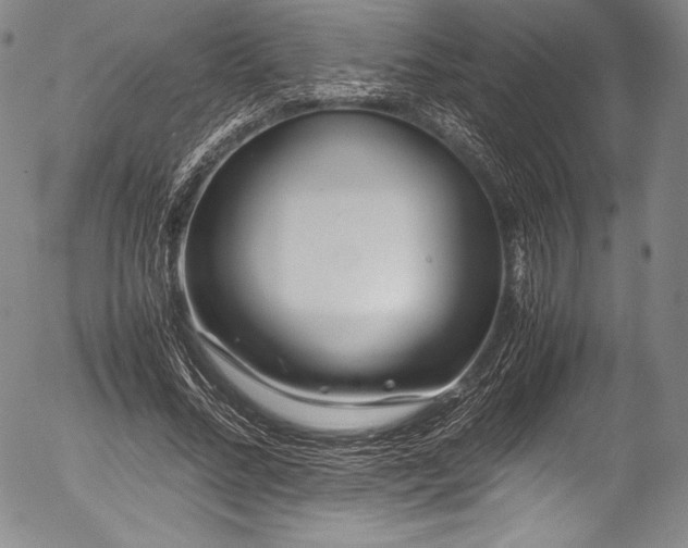 X0000054410684200508011322