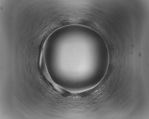 X0000054410689200508011322