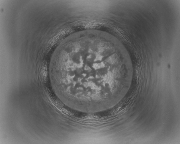 X0000054410691200508011322