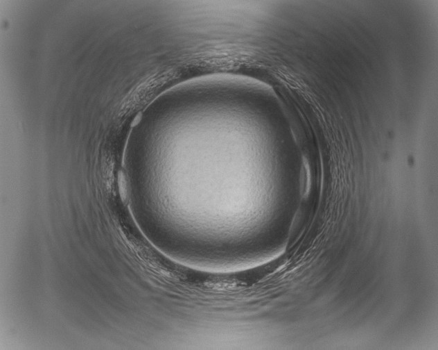 X0000054410693200508011322