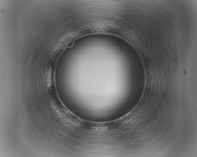 X0000054410694200508011322