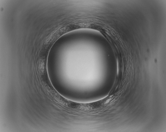 X0000054410697200508011322