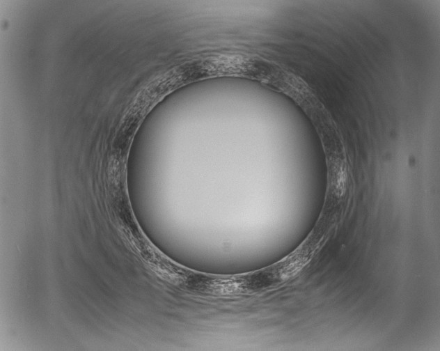 X0000054410701200508011322