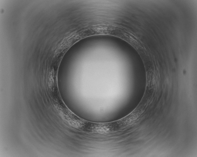 X0000054410702200508011322